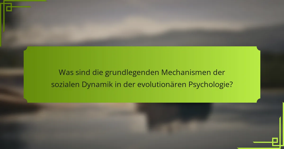 Was sind die grundlegenden Mechanismen der sozialen Dynamik in der evolutionären Psychologie?