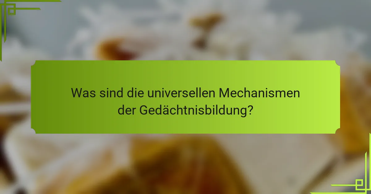 Was sind die universellen Mechanismen der Gedächtnisbildung?