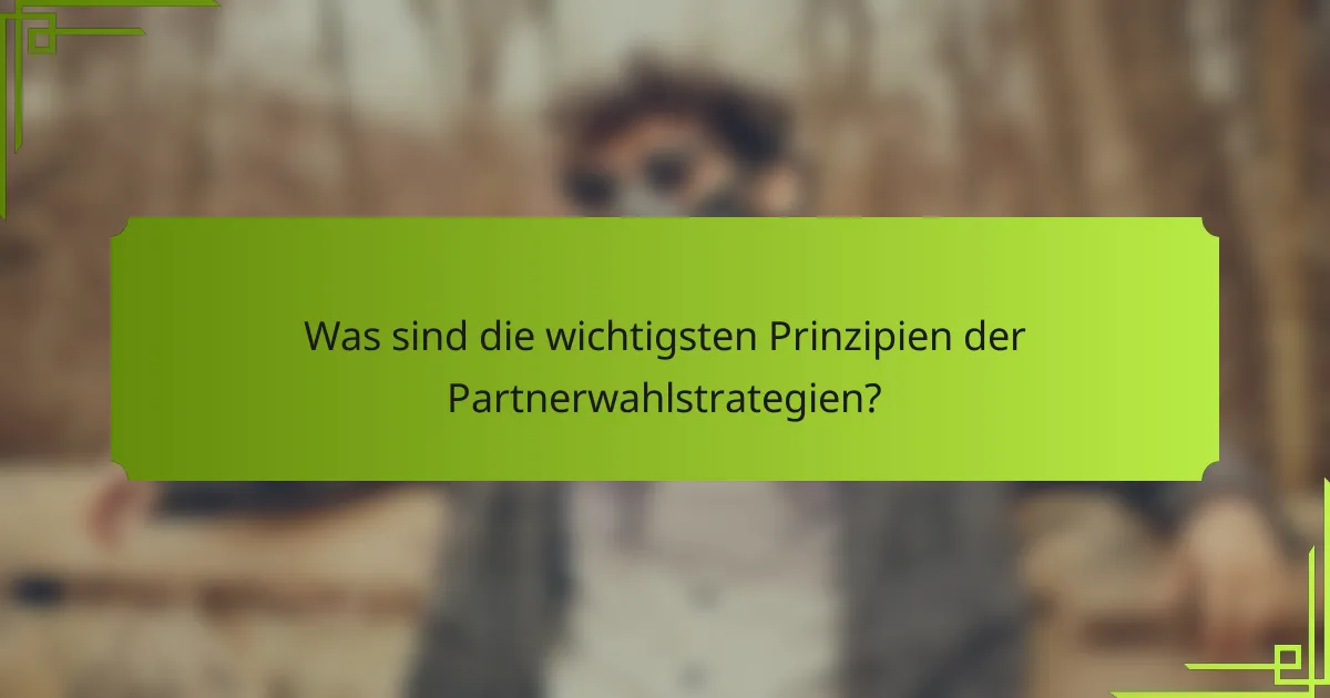 Was sind die wichtigsten Prinzipien der Partnerwahlstrategien?