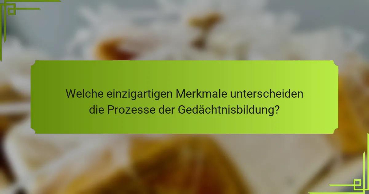 Welche einzigartigen Merkmale unterscheiden die Prozesse der Gedächtnisbildung?
