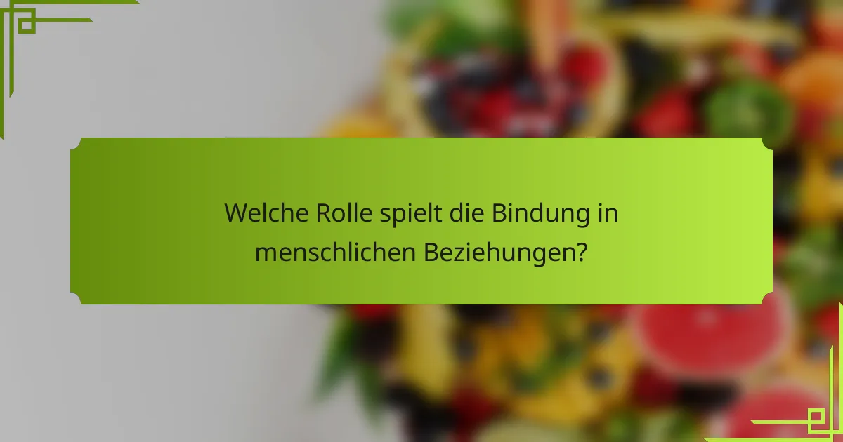 Welche Rolle spielt die Bindung in menschlichen Beziehungen?