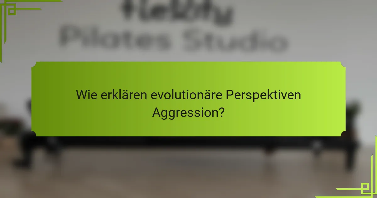 Wie erklären evolutionäre Perspektiven Aggression?